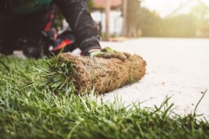SOD Installation and Lawn Care