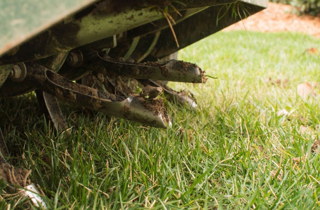 Aeration & Overseeding: A Summer Romance