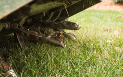 Aeration & Overseeding: A Summer Romance