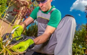 Seasonal cleanup in Orange Count