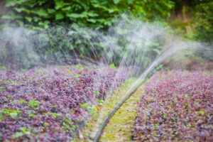Irrigation systems in Orange County.