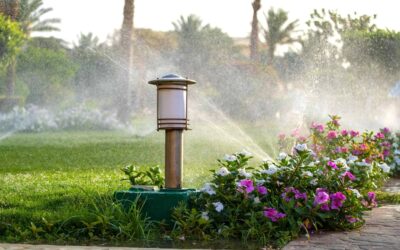 The Ins and Outs of Irrigation Systems