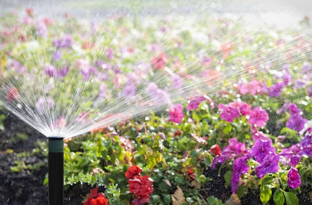 La La L.A. Landscaping
