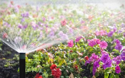 La La L.A. Landscaping