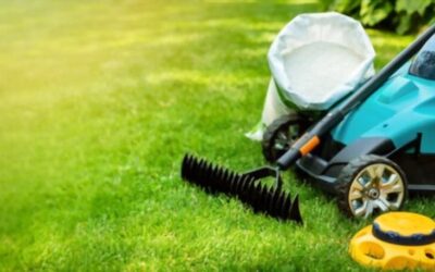 Fertile Ground For Entertaining, But Is The Ground Fertile?