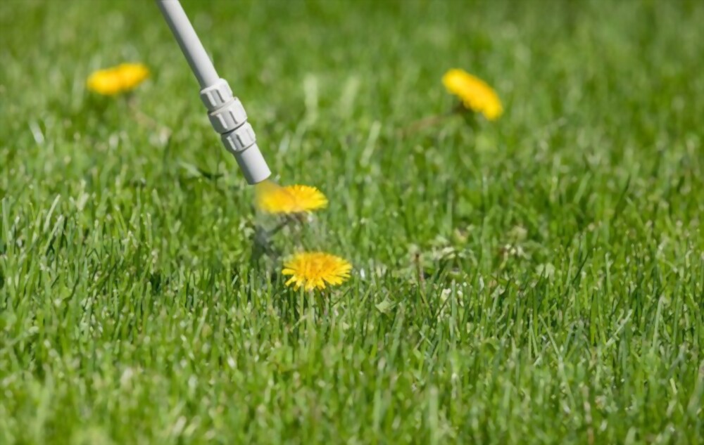 Weed Control to M1