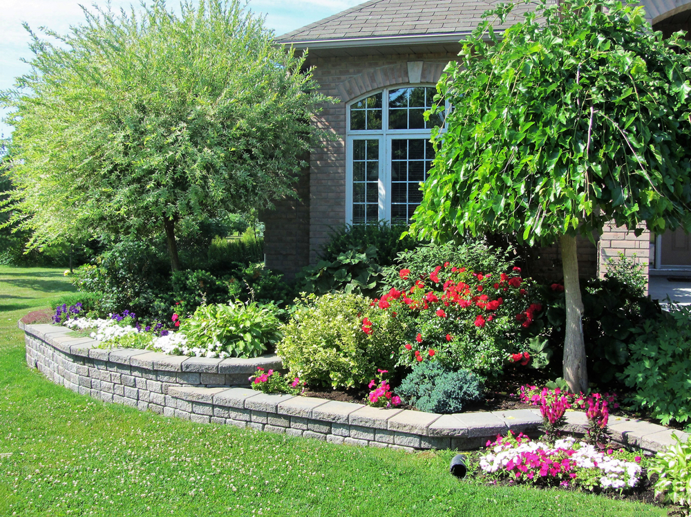 Flower beds behind short retaining walls in front of home in Orange County, CA