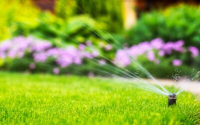 Sprinker Systems Vs Drip Irrigation: Fight!