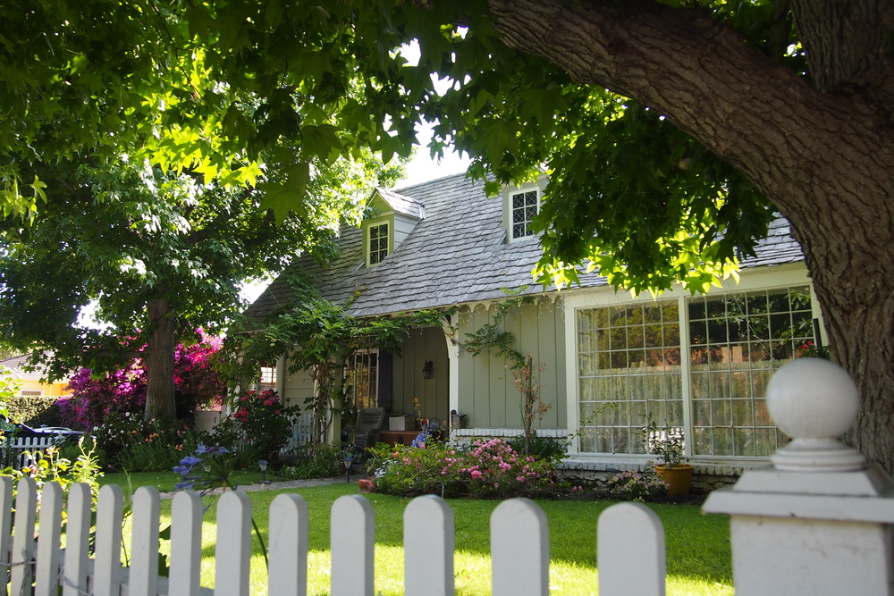 Looking for stunning landscaping and tree service maintenance to increase your Orange County property value and beautify the home? Contact M1 Landscaping today!