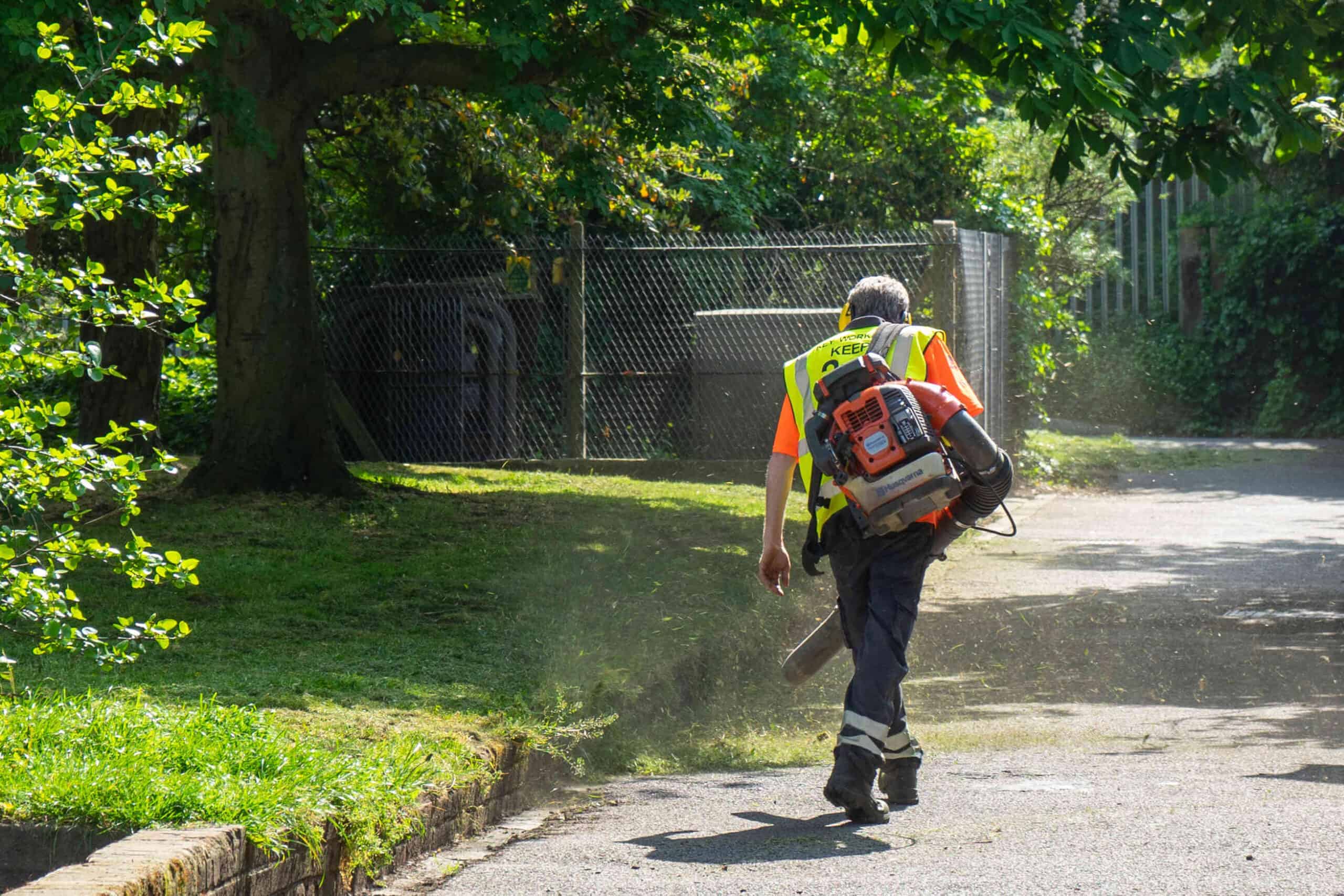 Summer is the best time for professional lawn maintenance services near you