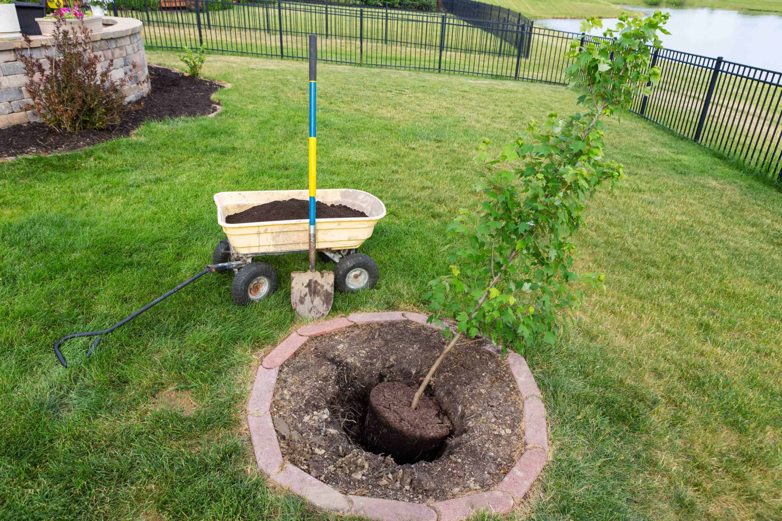 Blend landscape construction techniques to customize your property