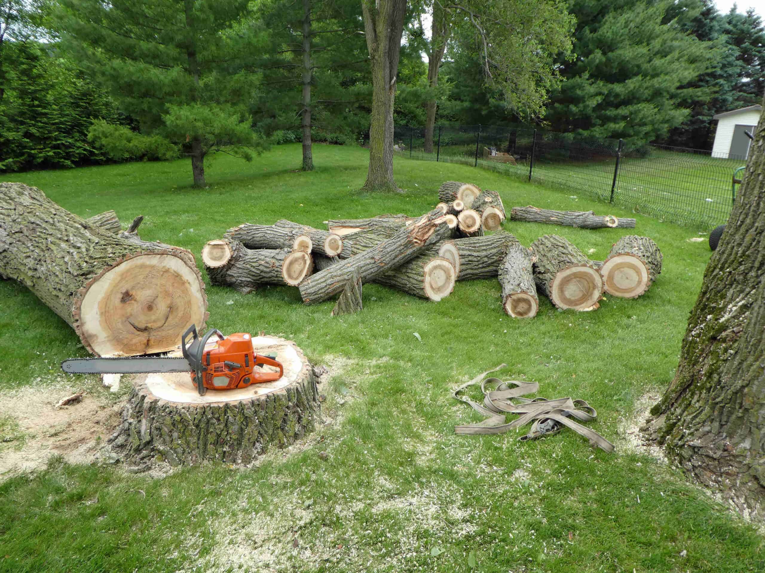 Lawn mowing, landscaping, patio professionals in Corona, CA 