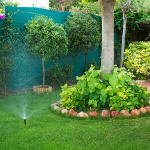 Corona lawn mowing, landscaping, patios