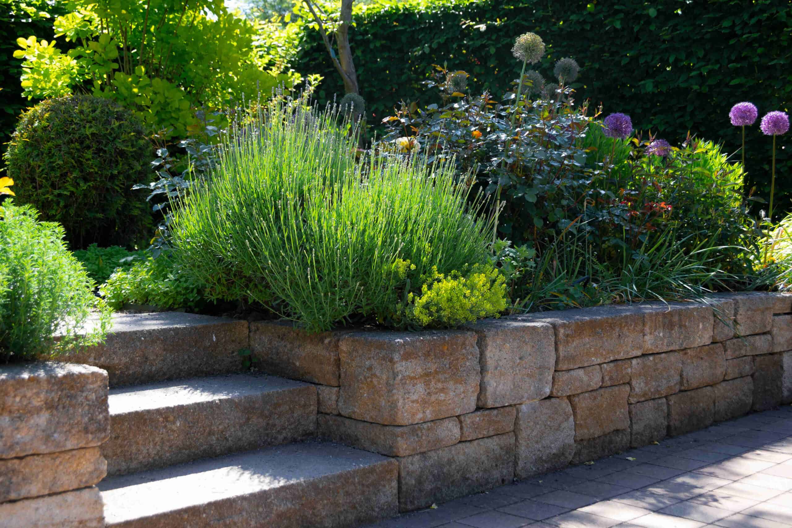 California company for lawn mowing, landscaping, and patios Corona