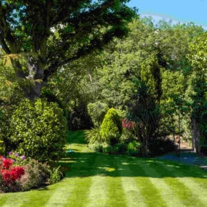 Professional lawn mowing near Corona, CA