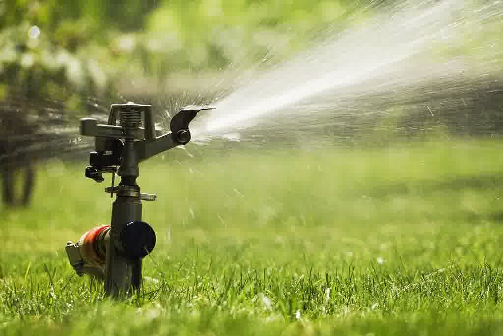 Close-up of garden sprinkler spraying water over grass, providing irrigation as part of regular lawn maintenance and care routine.