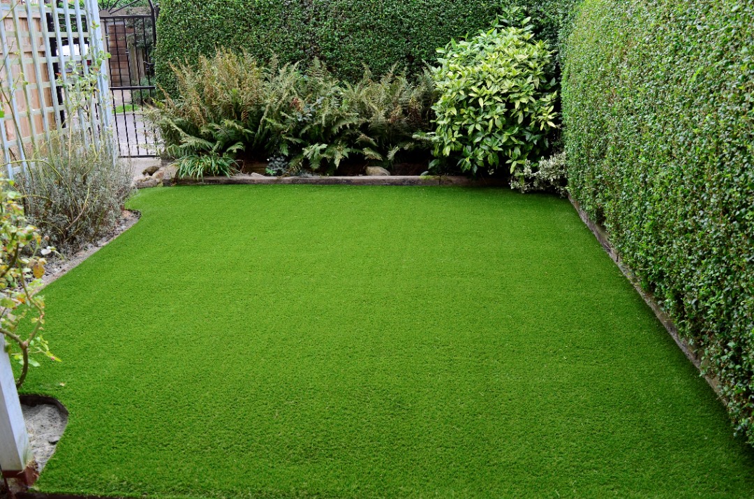 Compact backyard artificial grass landscape offers a smooth low maintenance surface bordered by shrubs and fencing.