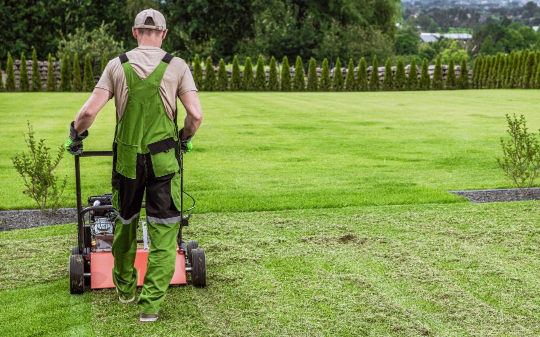 Smart Landscaping Choices | Natural Grass VS Artificial Grass