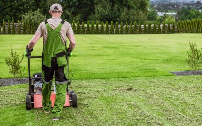 Smart Landscaping Choices | Natural Grass VS Artificial Grass