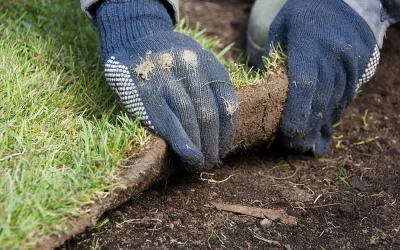 Proven Sod Installation Timing For Roots That Truly Lock In
