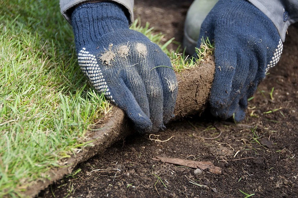 Proven Sod Installation Timing For Roots That Truly Lock In