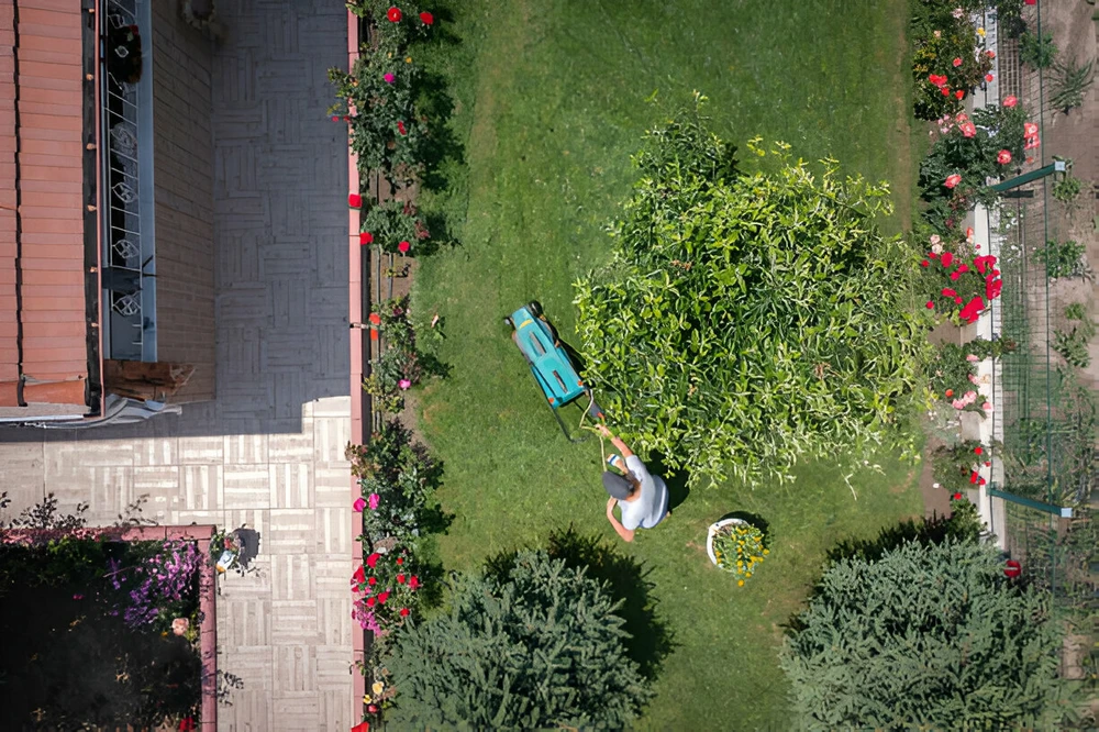 Aerial view of lawn maintenance as a homeowner mows a backyard bordered by flower beds and shrubs.