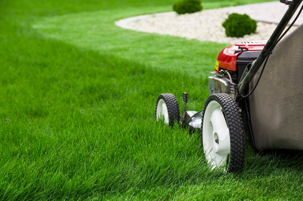 Push mower trims a lush green lawn beside a curved rock garden during lawn mowing.