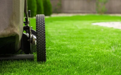 Proper Lawn Mowing Height Before Summer Heat